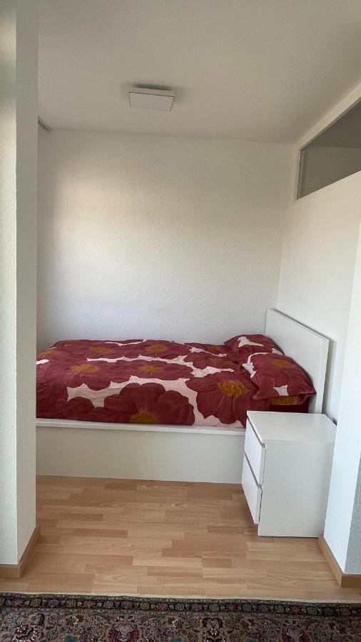 1,5 Zimmerwohnung In Apartment Heidelberg