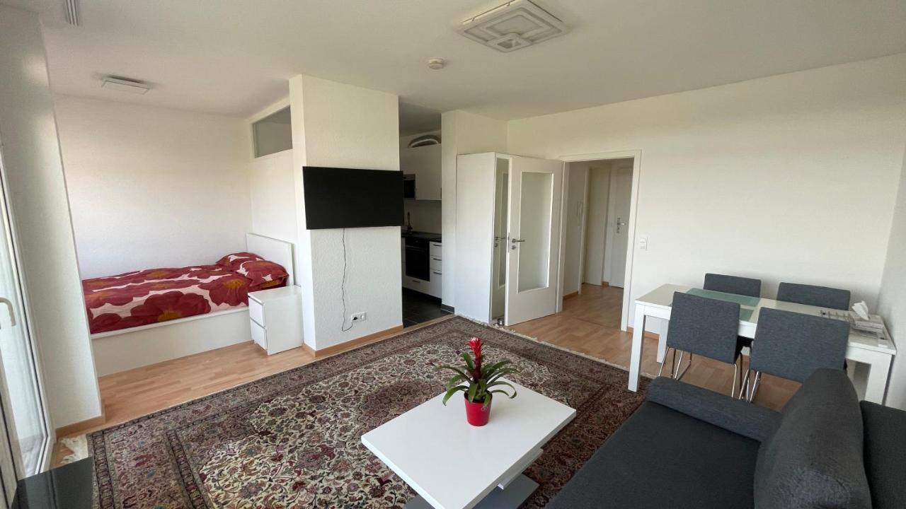 1,5 Zimmerwohnung In Heidelberg
